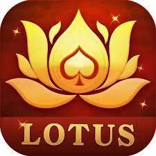 teen patti gang apk download